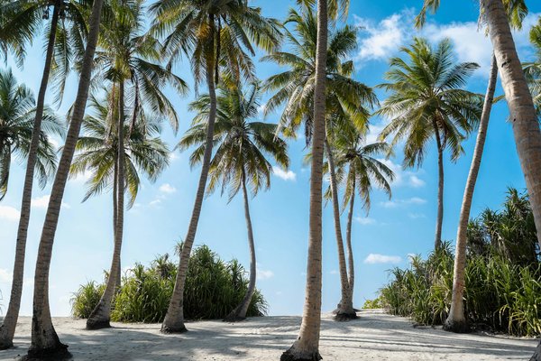 Aventure Solitaire en Espagne : Astuces pour Dénicher la Location Parfaite